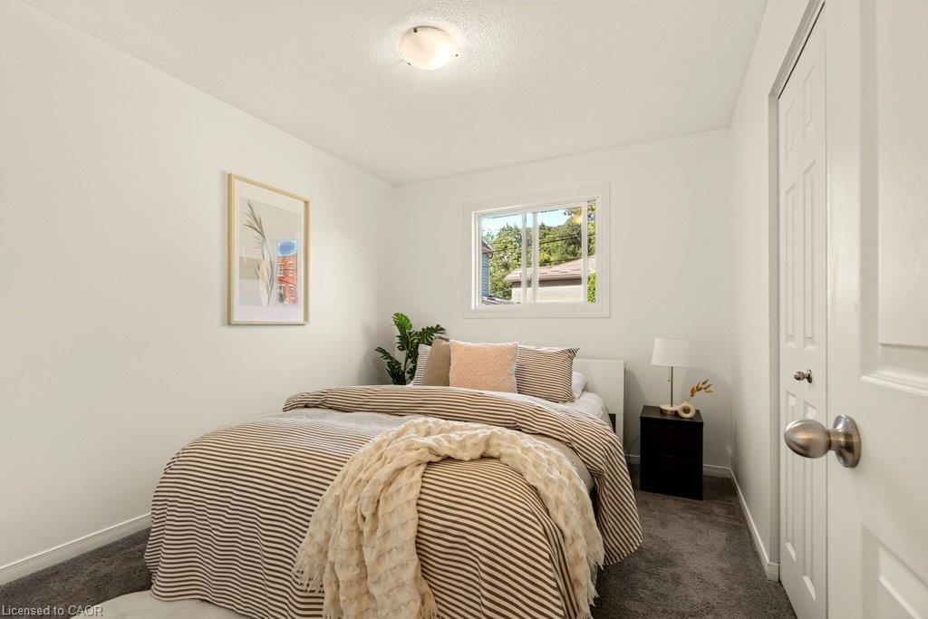33 Albert Street Property Photo 17