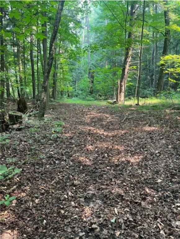 00 Highway 24 Property Photo 1