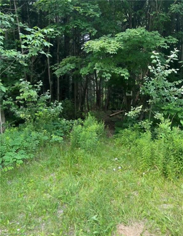 00 Highway 24 Property Photo 7