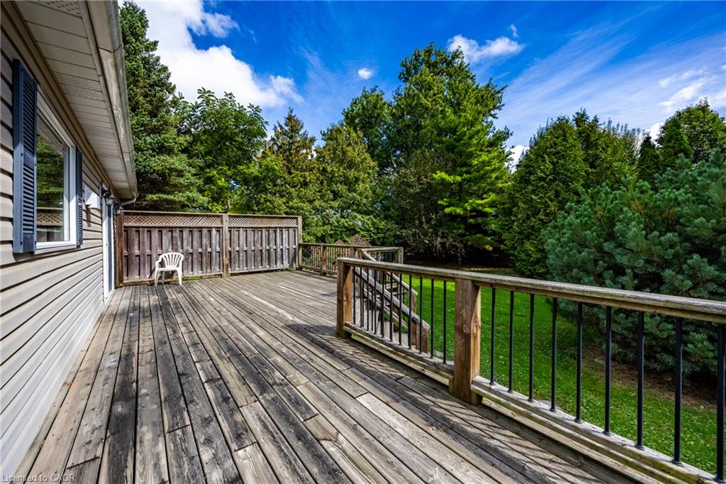 14 Carrick Street Property Photo 29