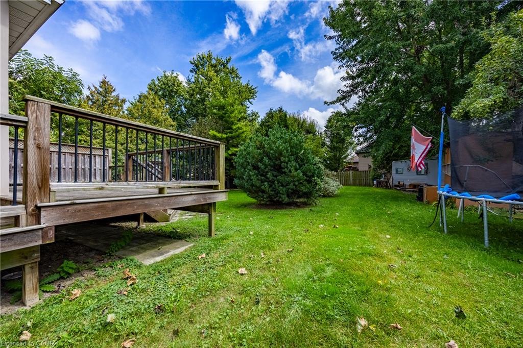 14 Carrick Street Property Photo 31