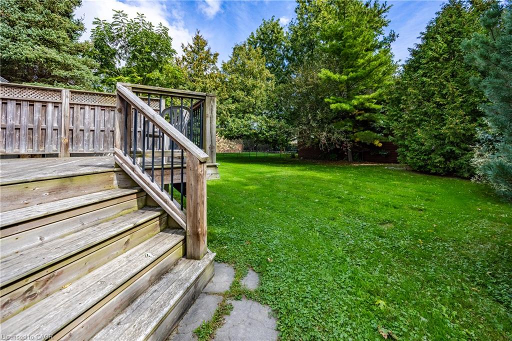 14 Carrick Street Property Photo 32