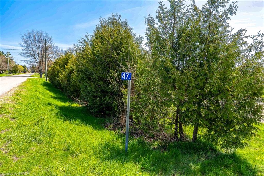 47 River Road Property Photo 15