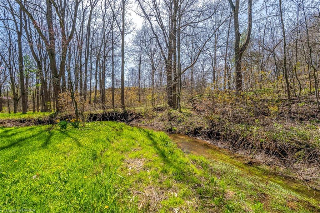 47 River Road Property Photo 28