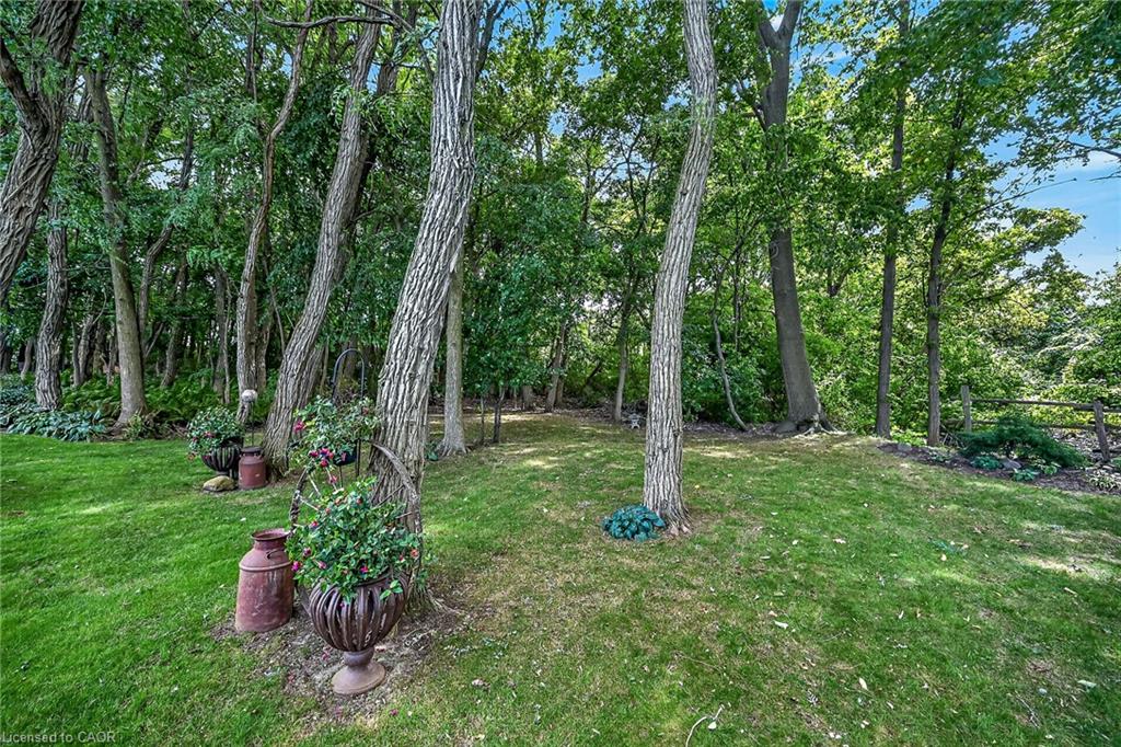 225 Dover Avenue Property Photo 44