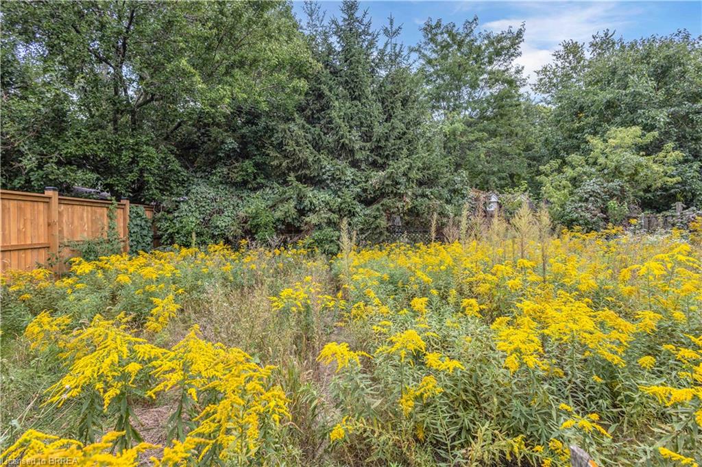 113 Sydenham Street Property Photo 42