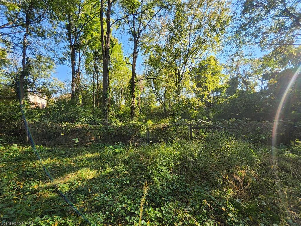 196 North Main Street Property Photo 22