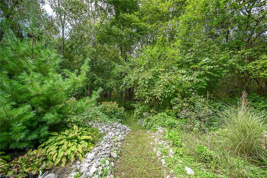 202-5 Mill Pond Court Property Photo 42