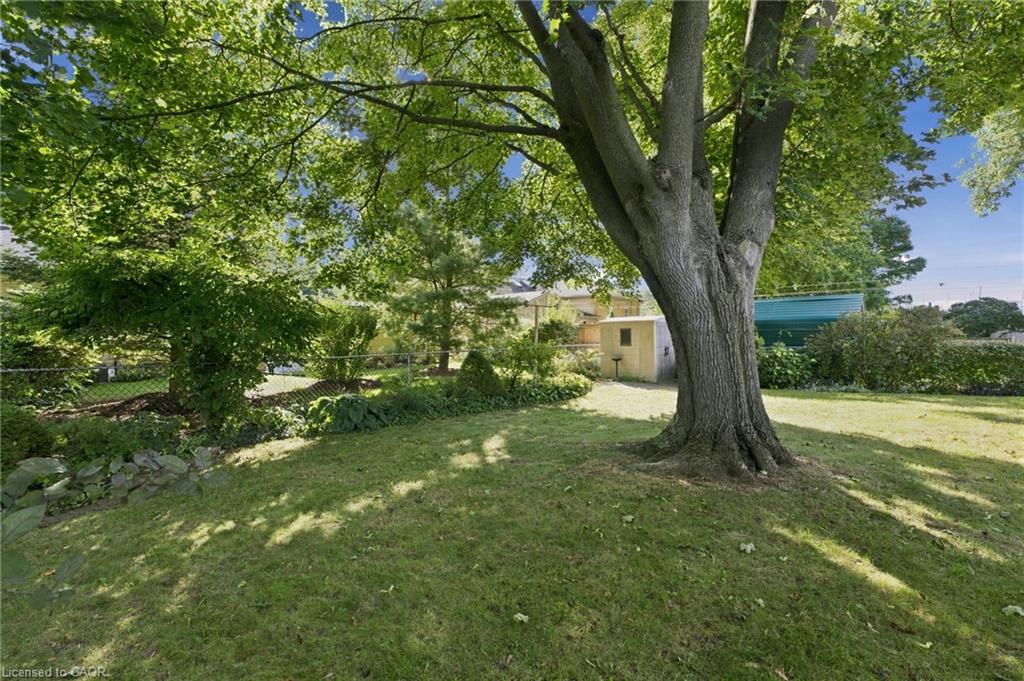 229 Drury Lane Property Photo 38