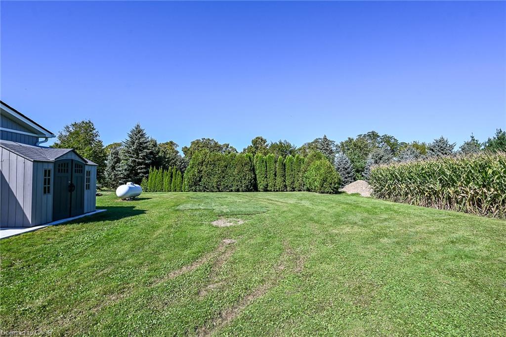 359 First Line Property Photo 46