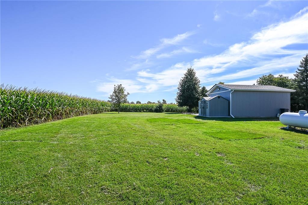 359 First Line Property Photo 48