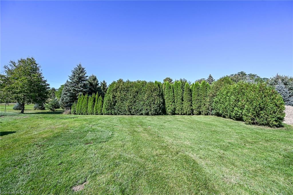 359 First Line Property Photo 50