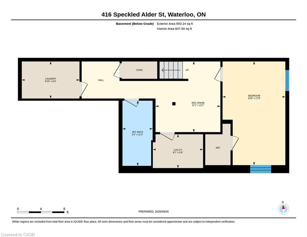 416 Speckled Alder Street Property Photo 43