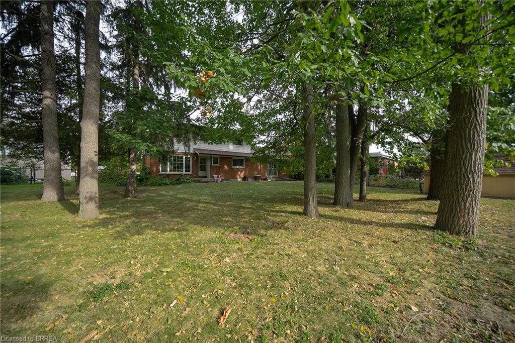 24 Japonica Crescent Property Photo 30