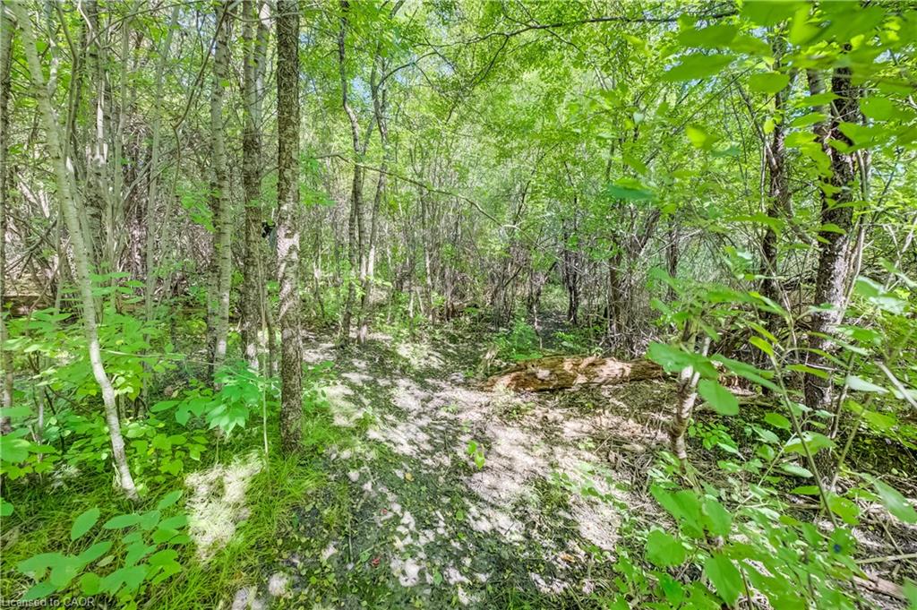 108 Lake Road Property Photo 41