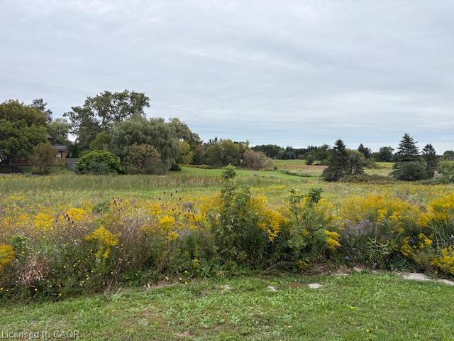 802 Highway 6 Property Photo 3