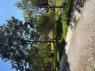 9 Concession 5 Road E