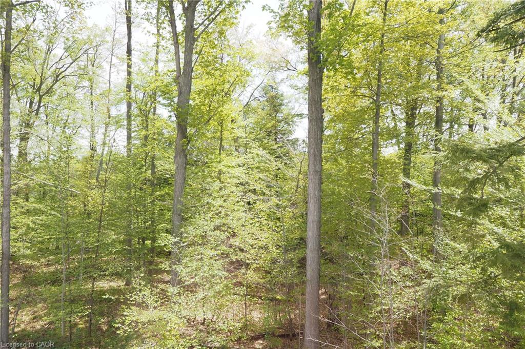 220 Jeffrey Place Property Photo 2