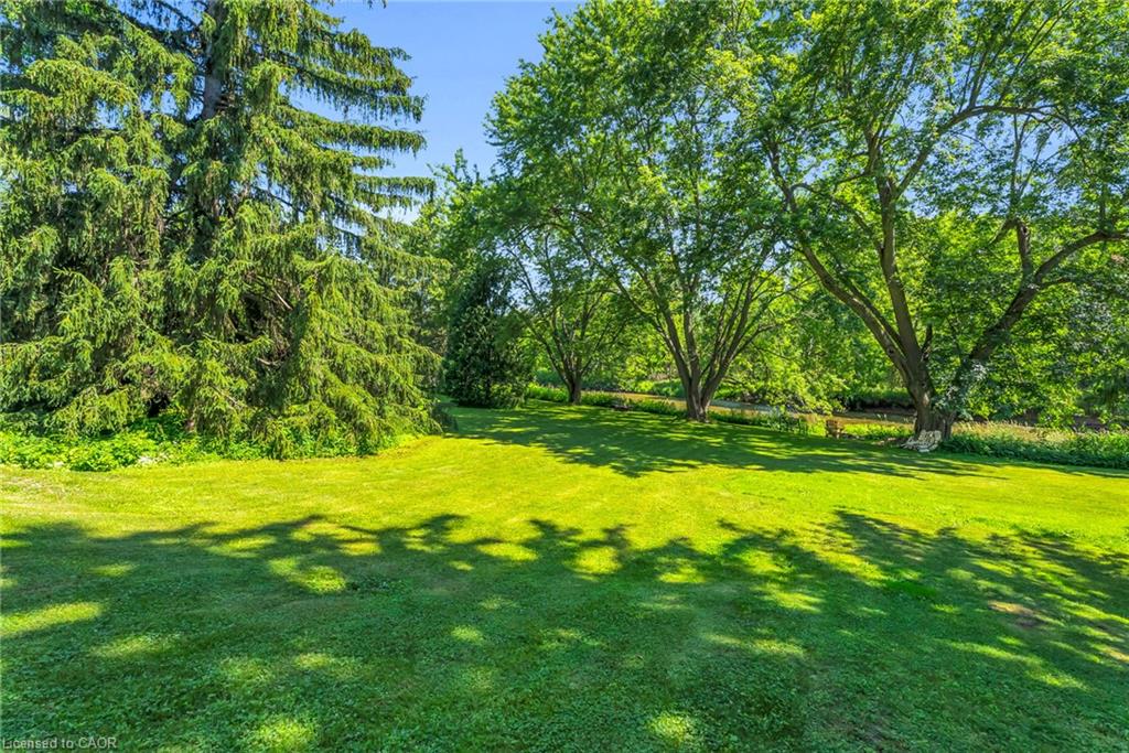 19 Confederation Street Property Photo 32