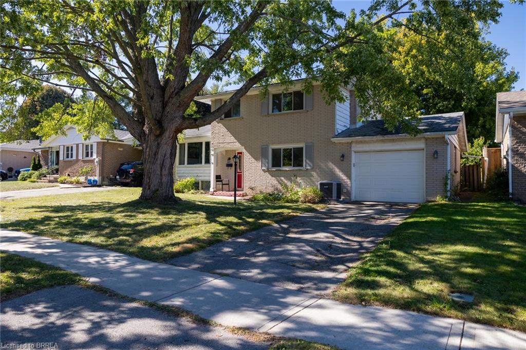 52 Brier Park Road