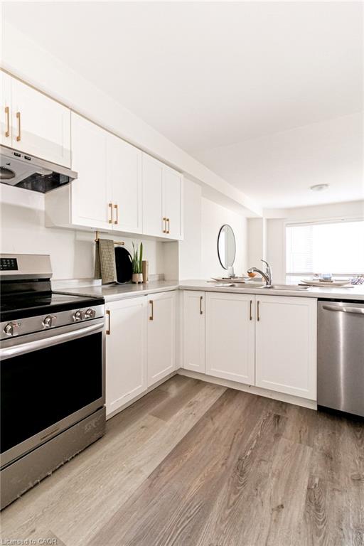 7 Roxanne Drive Property Photo 29