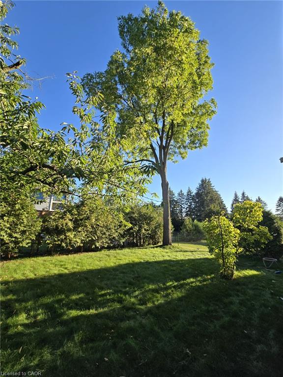 410 Lakeview Drive Property Photo 22