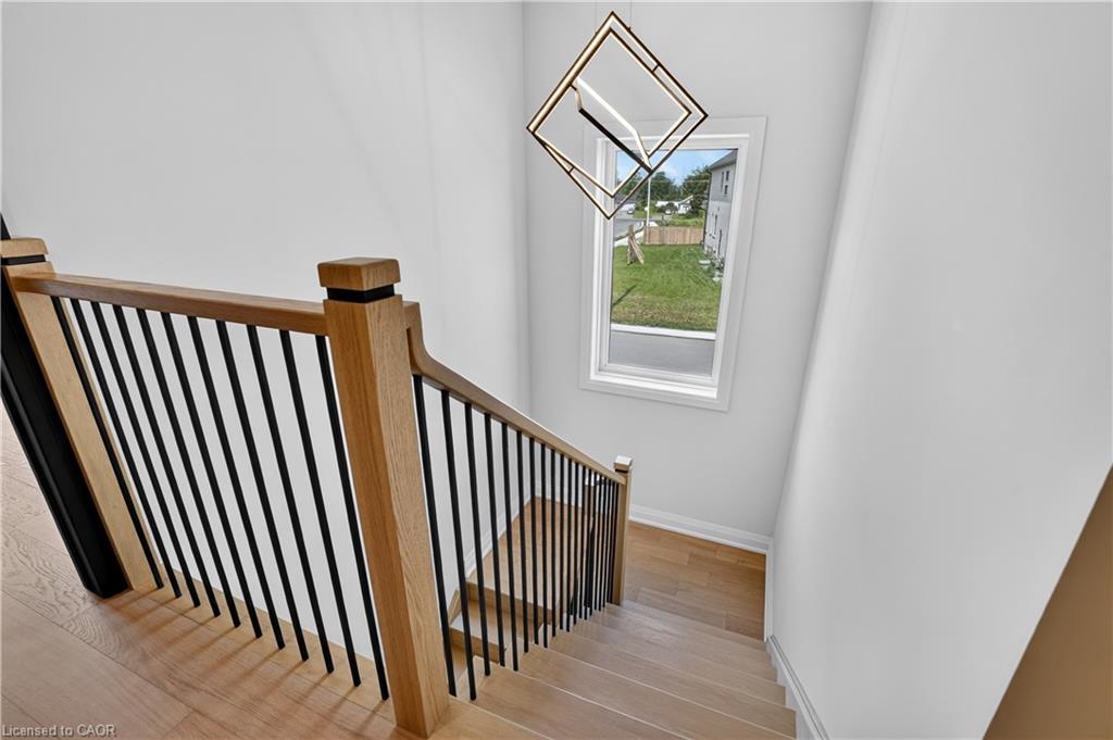 8905 Angie Drive Property Photo 27