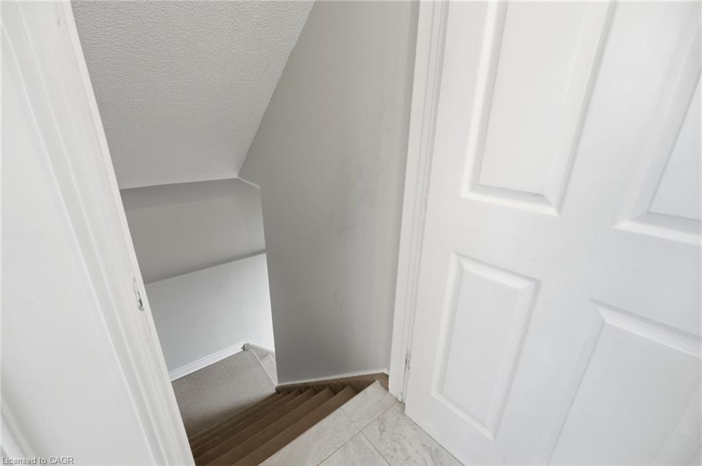 127 O'connor Crescent Property Photo 19