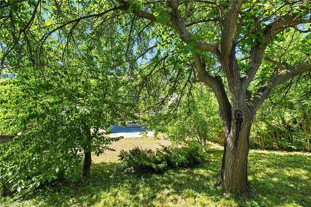 127 O'connor Crescent Property Photo 38
