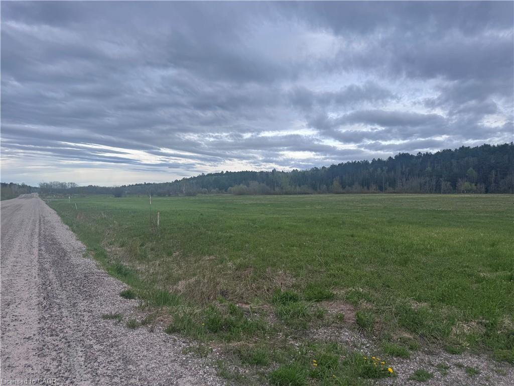 Lot 4 Old Highway 17 Property Photo 3