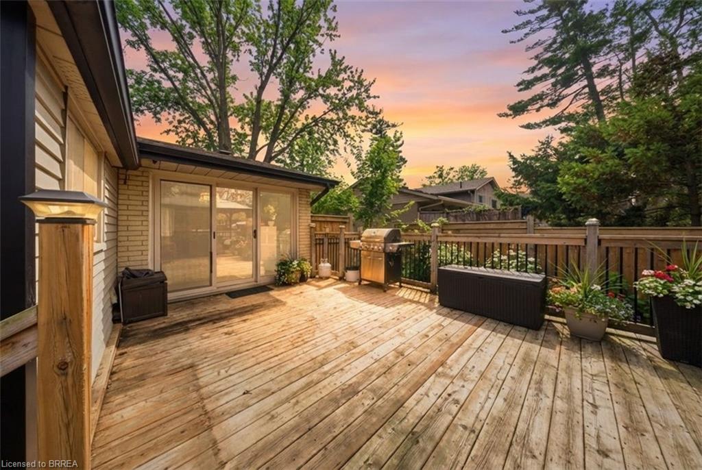 29 Allwood Street Property Photo 13