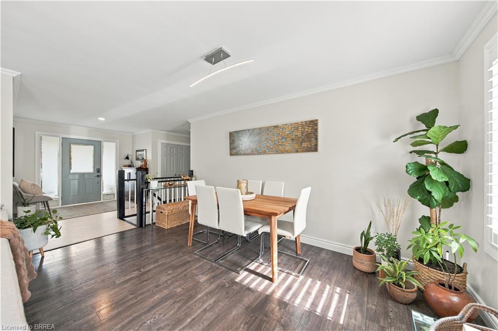 447 King Edward Street Property Photo 19