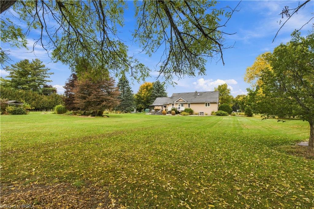 447 King Edward Street Property Photo 46