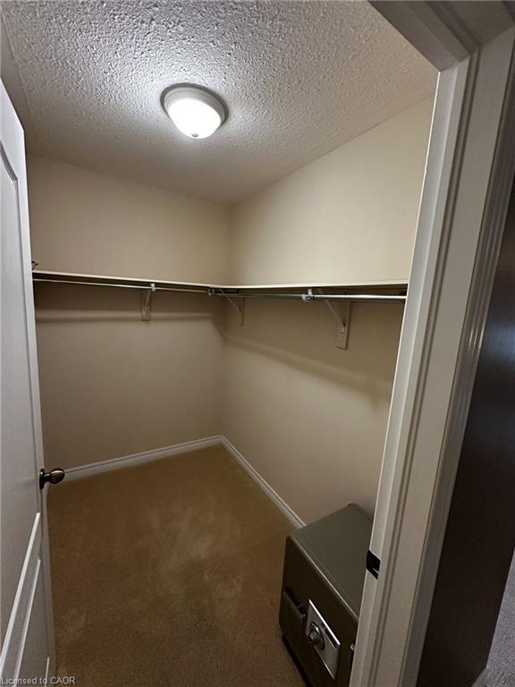 11 Carmichael Trail Property Photo 22