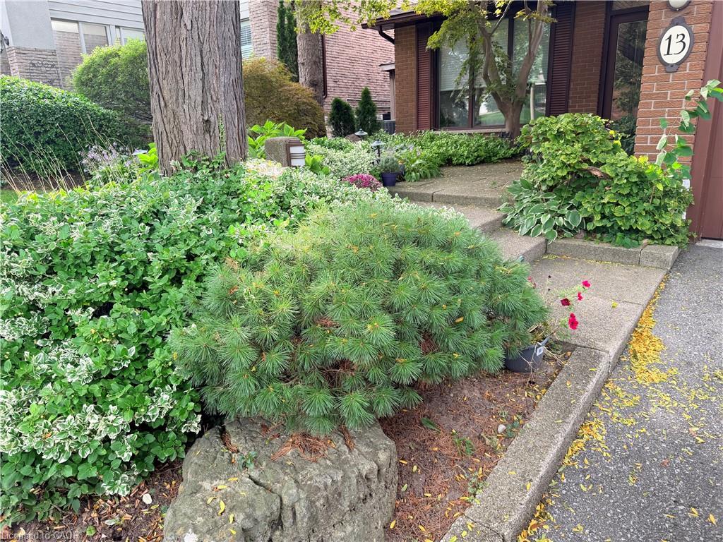 13 Mistflower Road Property Photo 3