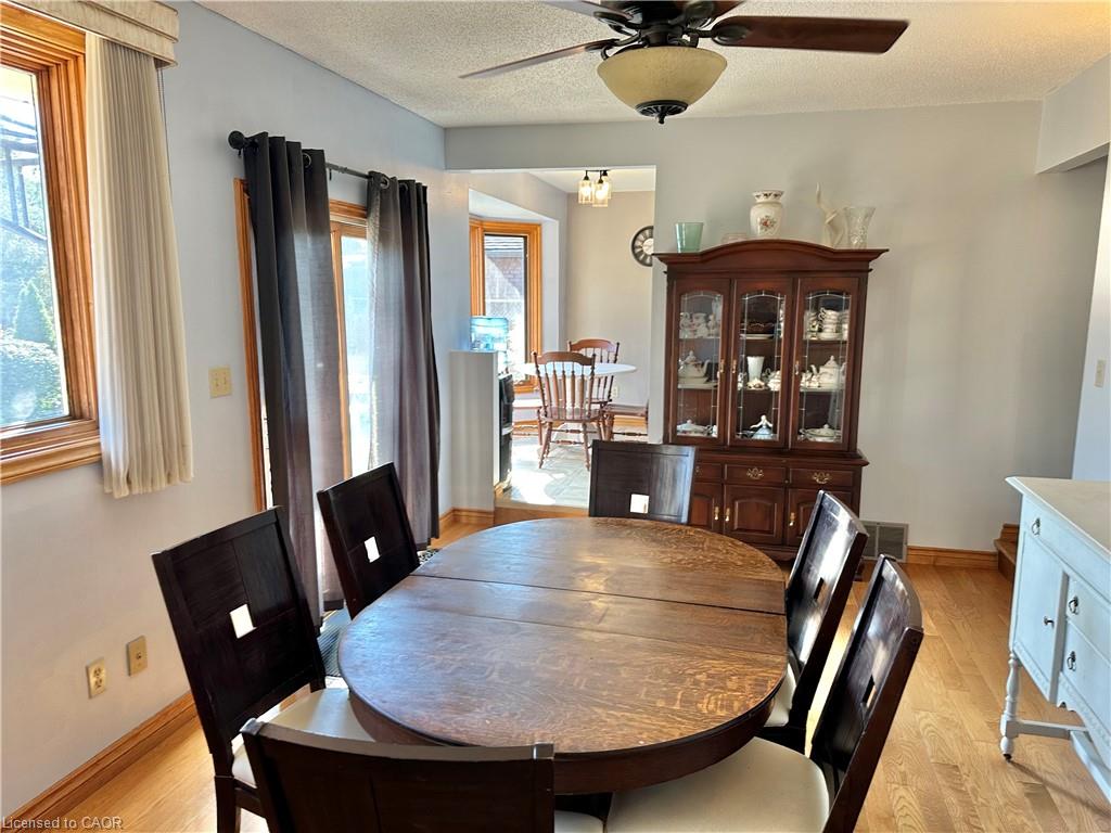 38 Mann Avenue Property Photo 9
