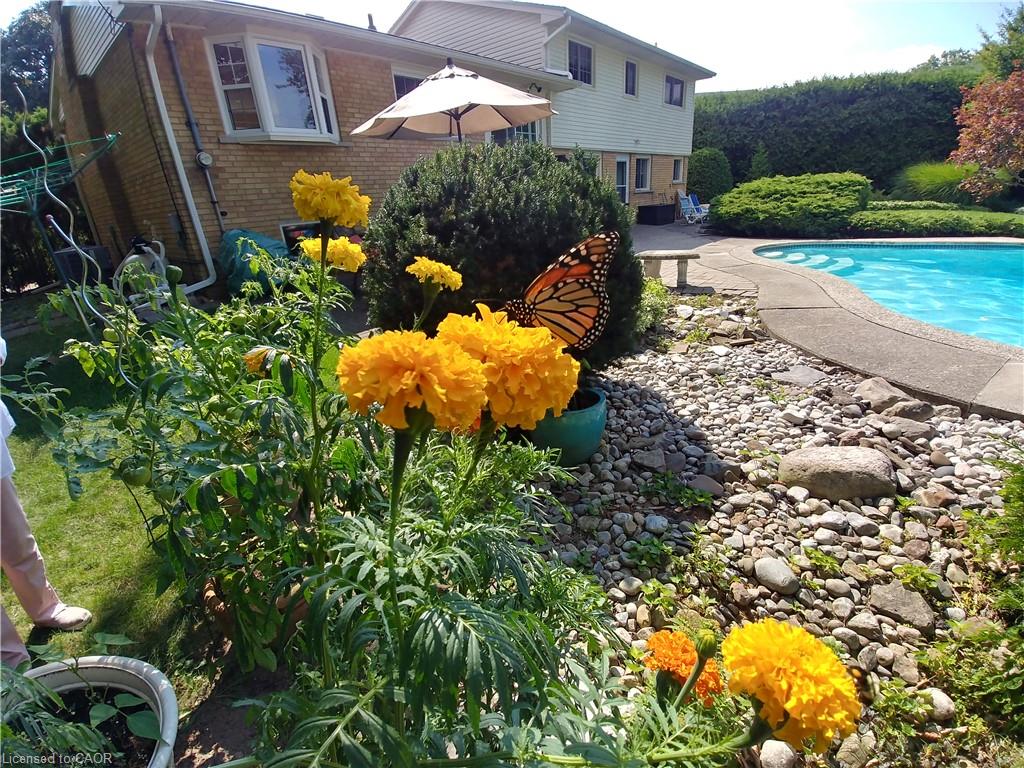 247 Walden Drive Property Photo 28