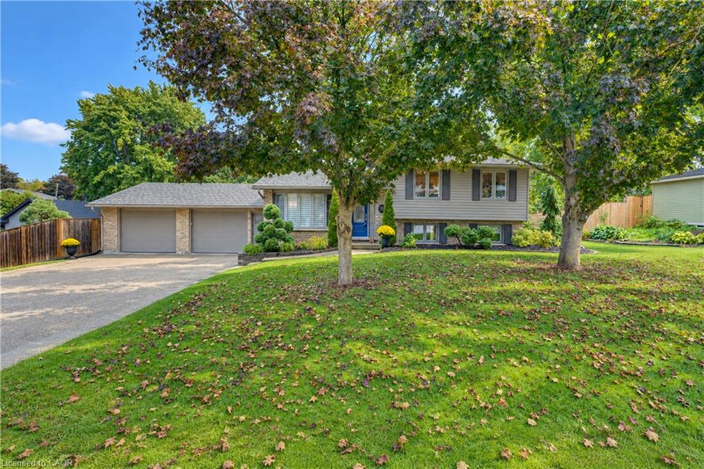 11 Millard Street Property Photo 1