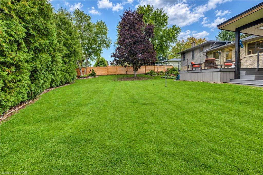 11 Millard Street Property Photo 44