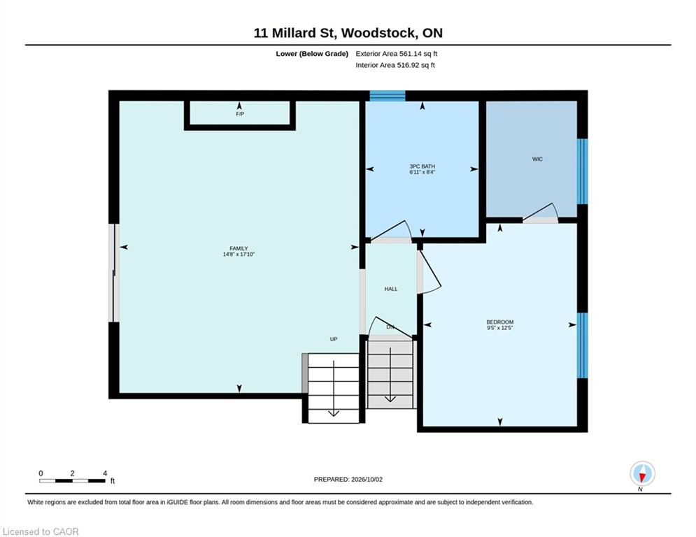 11 Millard Street Property Photo 49
