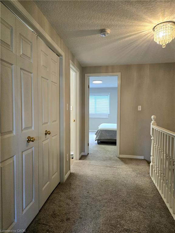 286 Sophia Crescent Property Photo 27