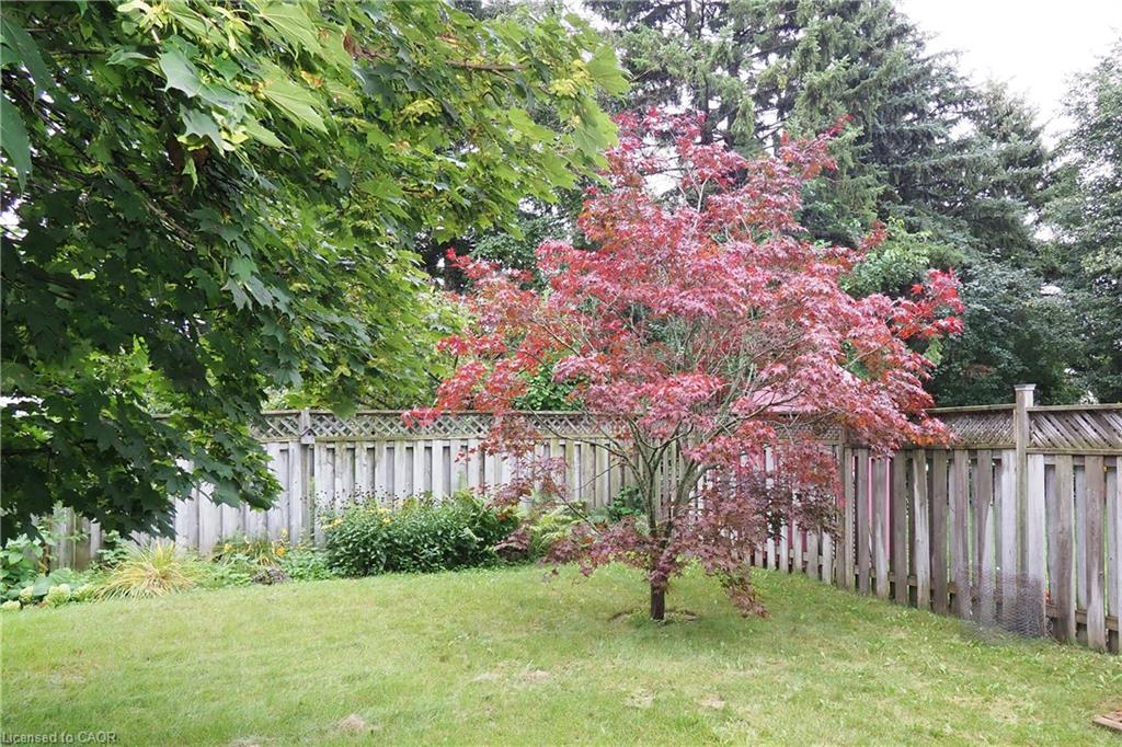 219 Foxhunt Road Property Photo 33