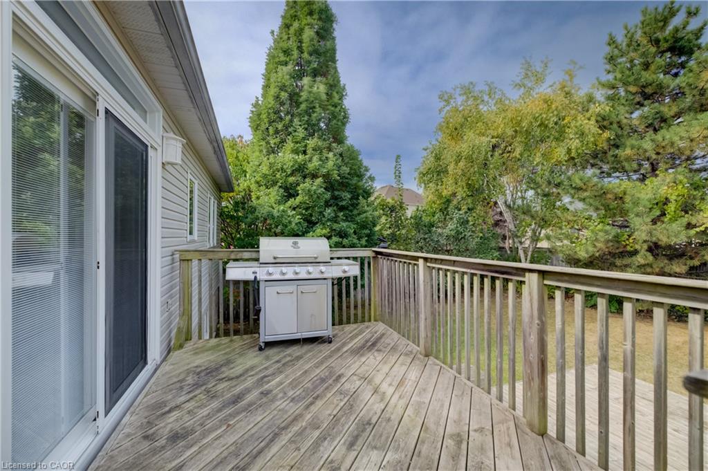 17 Kingsley Road Property Photo 29