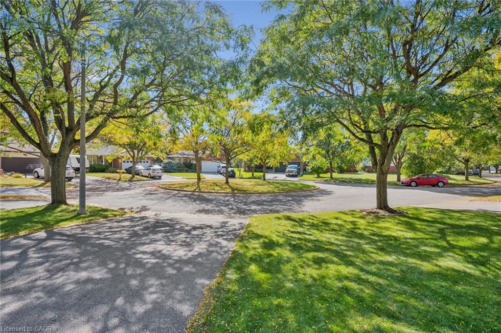 42 Mitton Place Property Photo 4