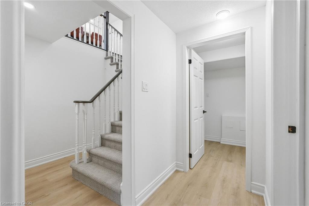 84 Riley Street Property Photo 25
