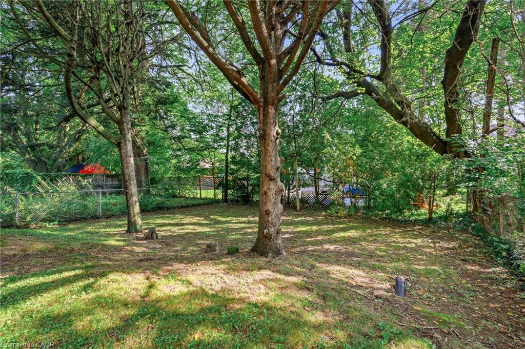 13 Allan Avenue Property Photo 21