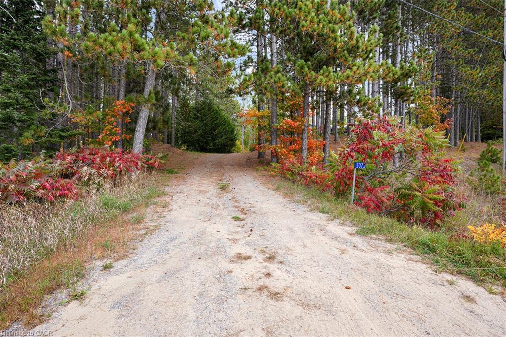 5073 Weslemkoon Lake Road Property Photo 28