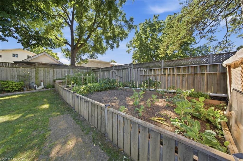 8 Wauchope Avenue Property Photo 39