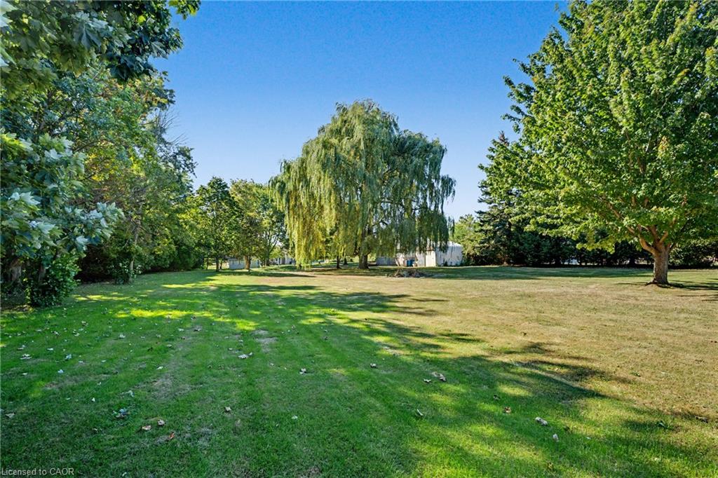 390 Sydenham Road Property Photo 41