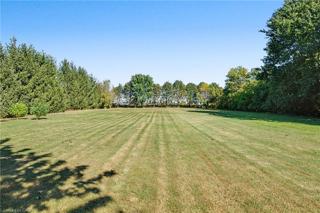 390 Sydenham Road Property Photo 42